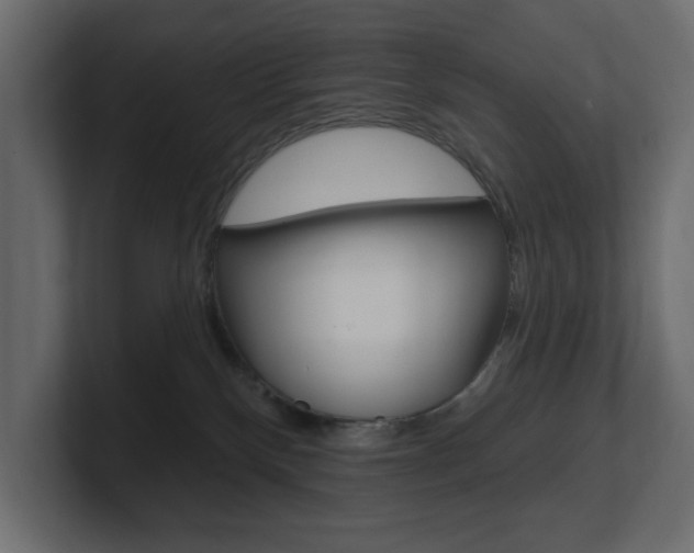 X0000101230136200806270953