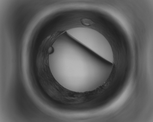 X0000101230143200806270953