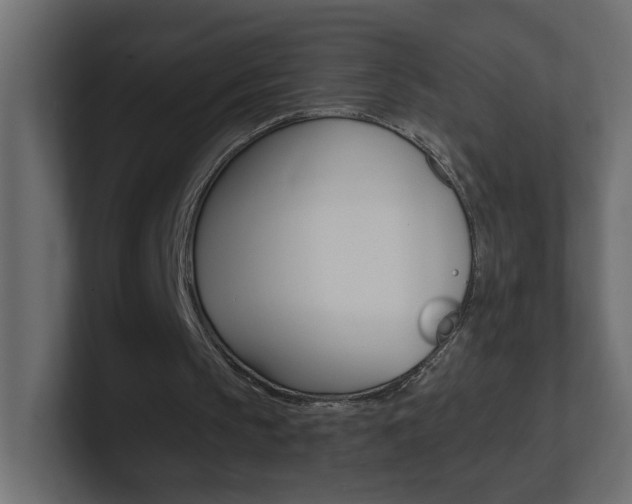 X0000101230145200806270952