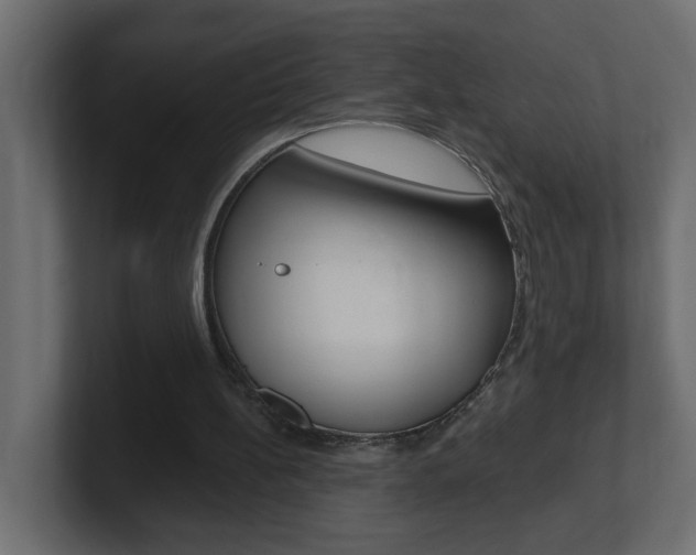 X0000101230148200806270952
