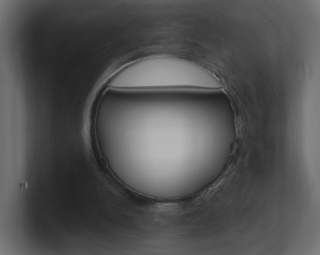X0000101230150200806270952