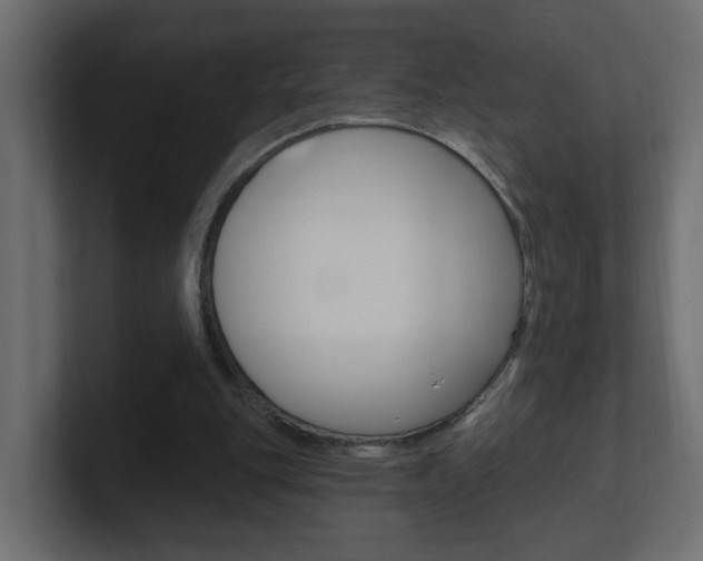 X0000101230151200806270952