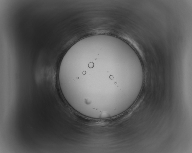 X0000101230153200806270952