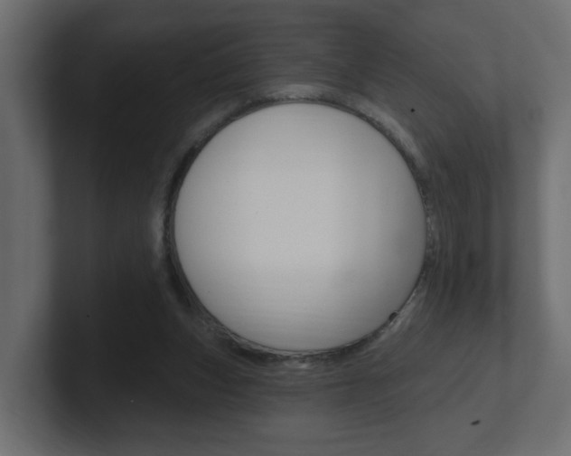X0000101230159200806270953