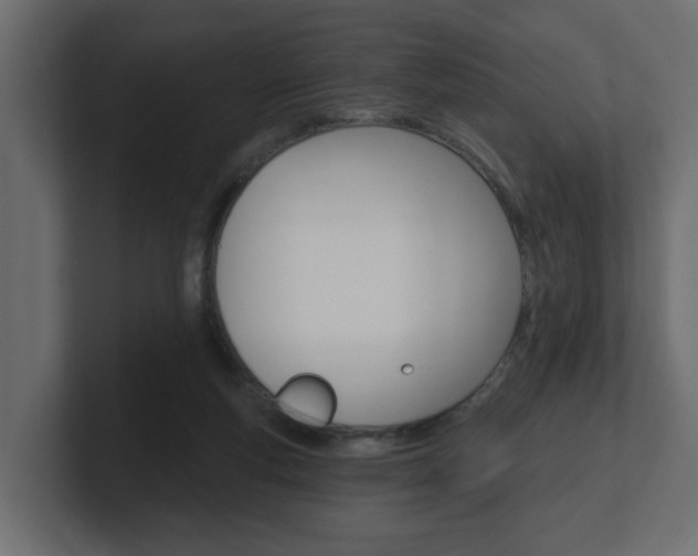 X0000101230163200806270953