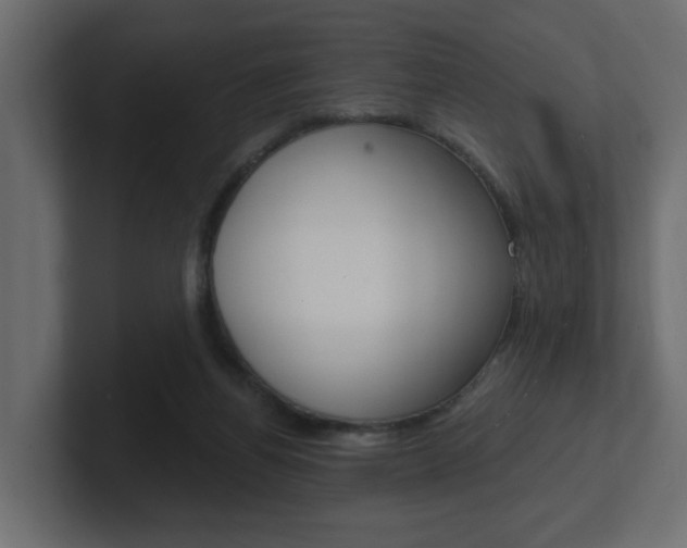 X0000101230164200806270953