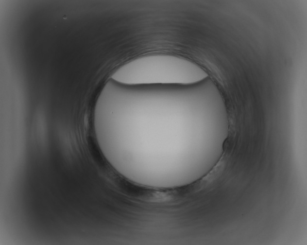 X0000101230166200806270953
