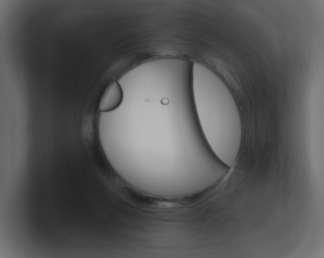 X0000101230167200806270953