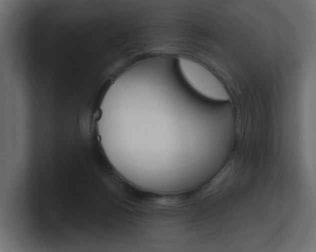X0000101230168200806270953