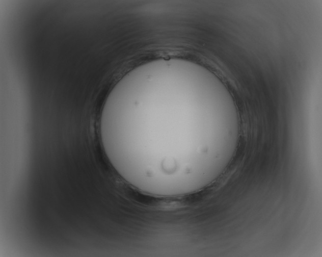X0000101230169200806270953