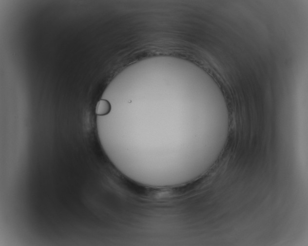 X0000101230173200806270953