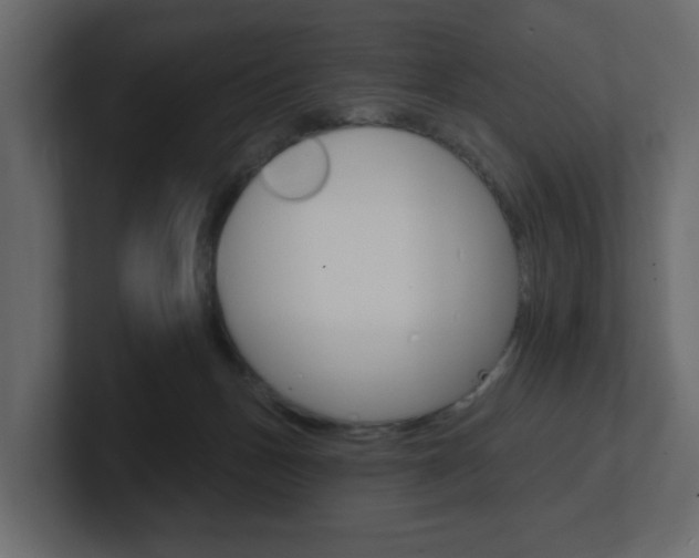 X0000101230175200806270953