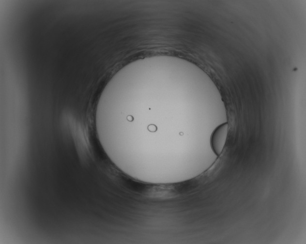 X0000101230179200806270953