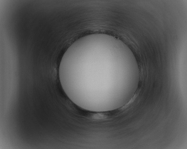X0000101230183200806270953