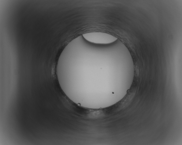 X0000101230185200806270953