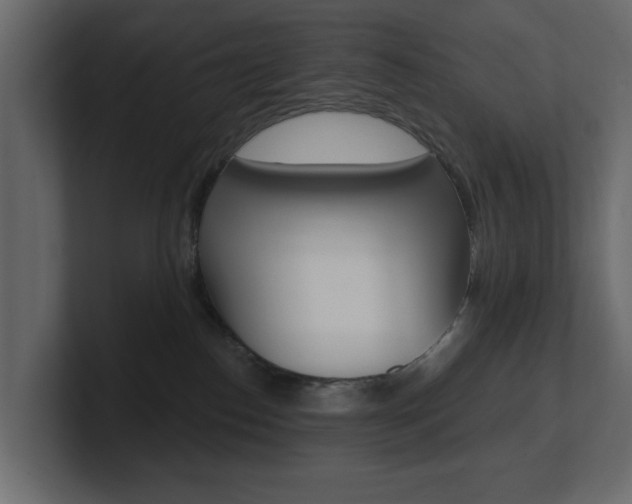 X0000101230186200806270953