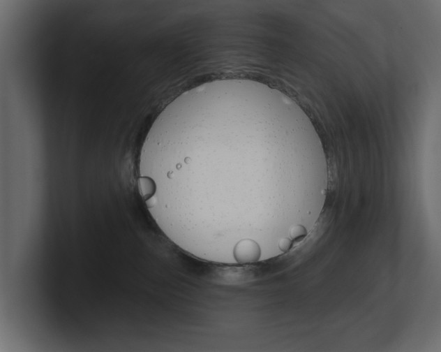 X0000101230187200806270953