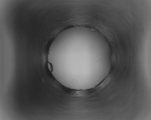 X0000101230188200806270953