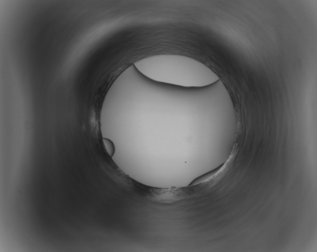 X0000101230191200806270953