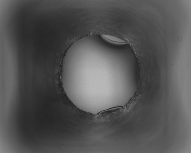 X0000101230192200806270953