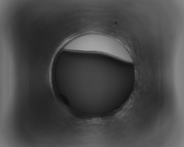 X0000101230196200806270952