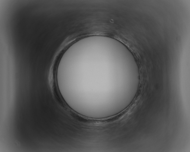 X0000101230198200806270952