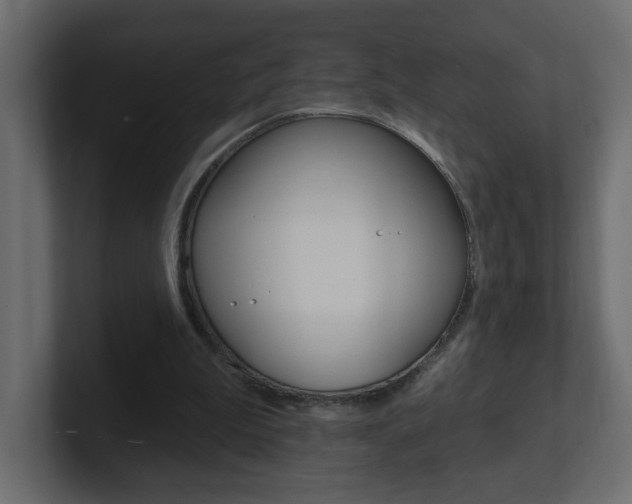 X0000101230199200806270952