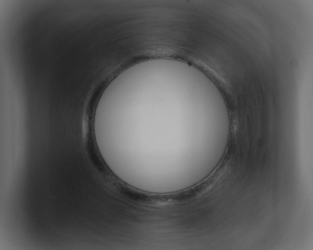 X0000101230206200806270952