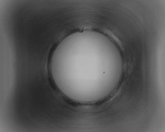 X0000101230209200806270952