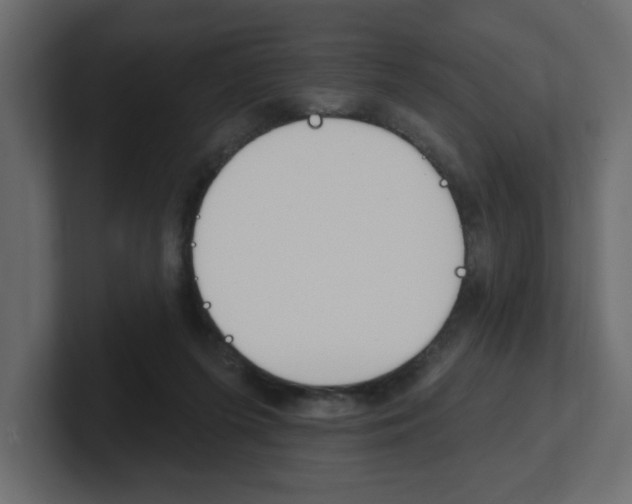 X0000101230215200806270952