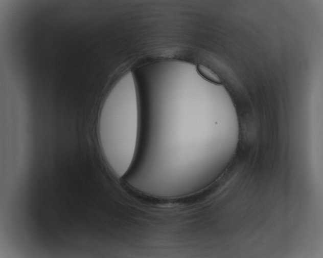 X0000101230216200806270952