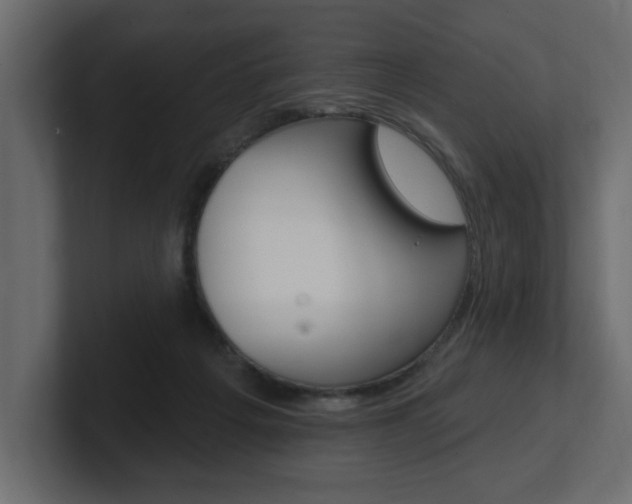 X0000101230217200806270952