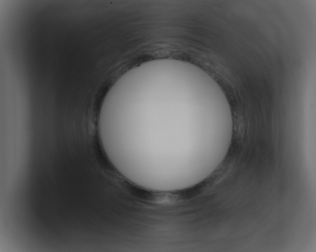 X0000101230226200806270952