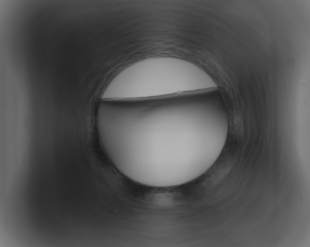 X0000101230228200806270952