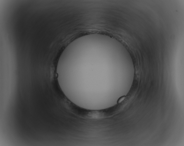 X0000101230231200806270952