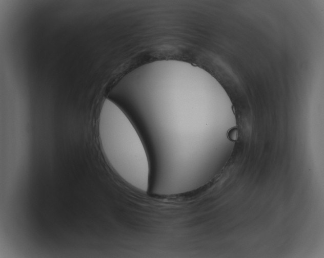 X0000101230232200806270952