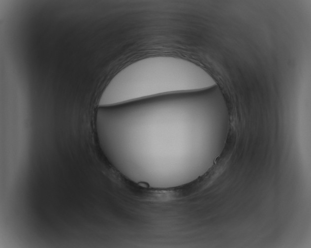 X0000101230233200806270952