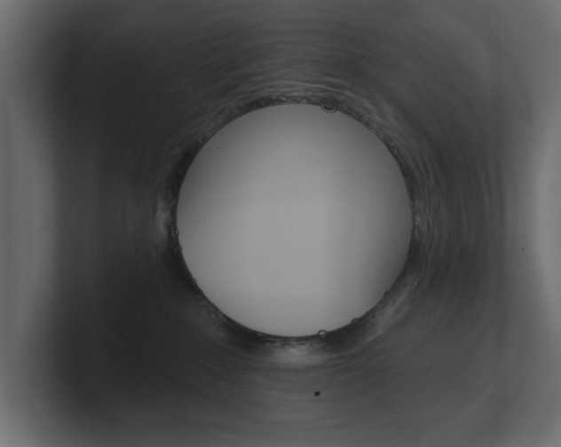 X0000101230235200806270952
