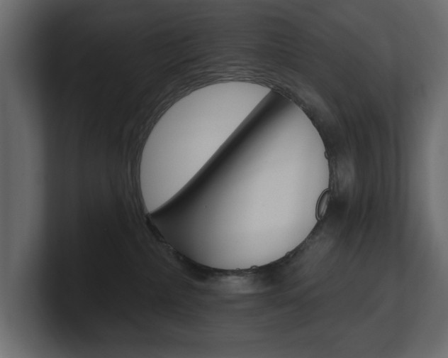 X0000101230236200806270952