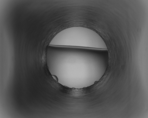 X0000101230240200806270952