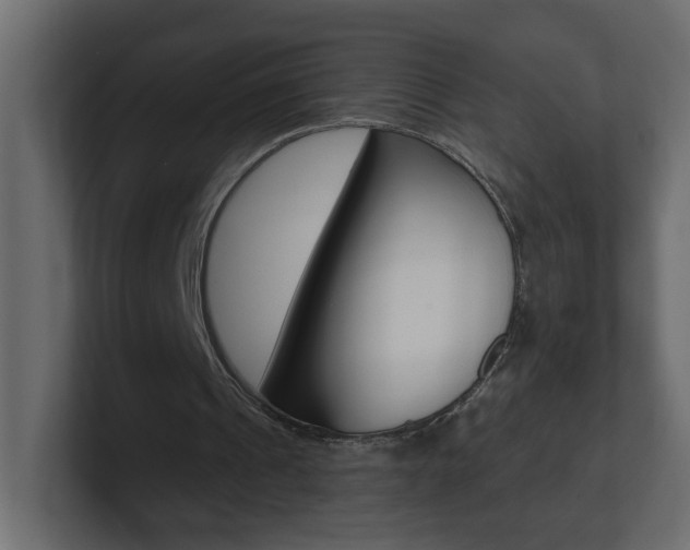 X0000101230241200806270951