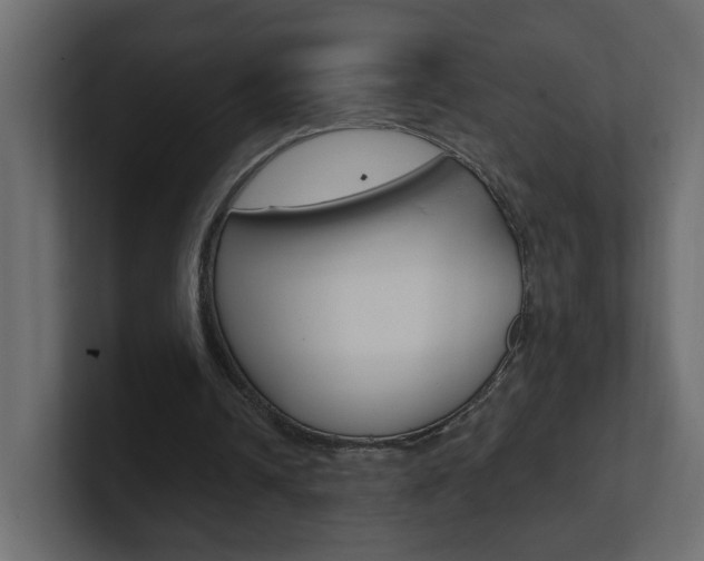 X0000101230242200806270951