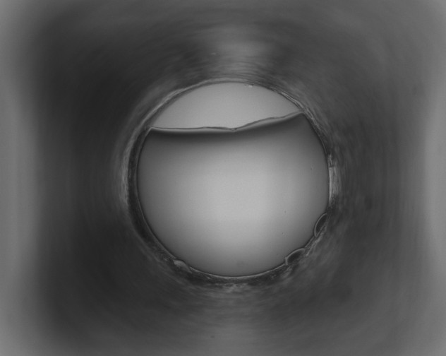 X0000101230243200806270951