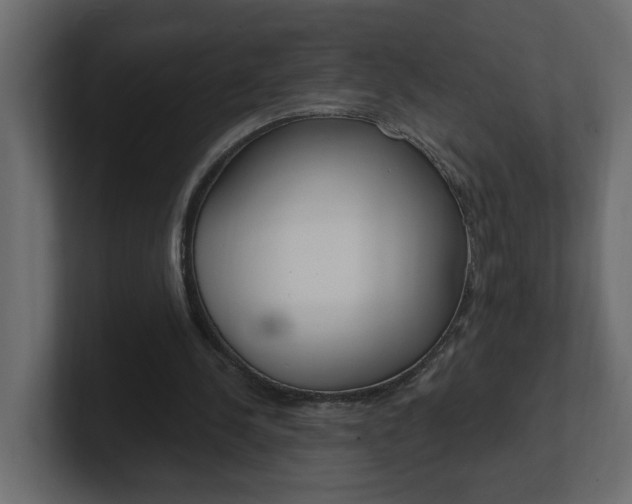 X0000101230244200806270951
