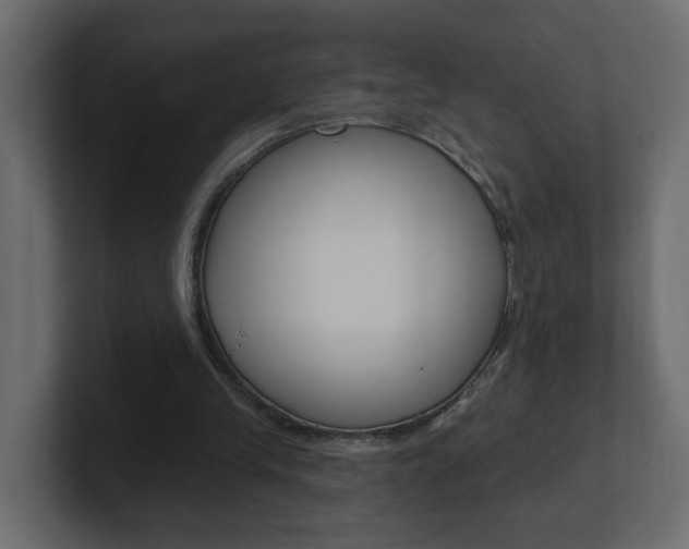 X0000101230245200806270951