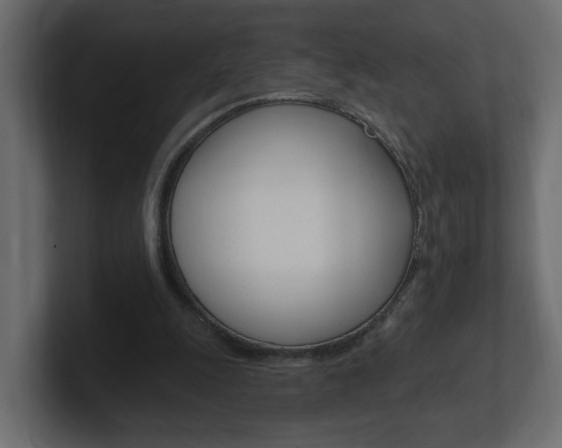 X0000101230247200806270951