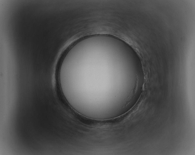 X0000101230248200806270951