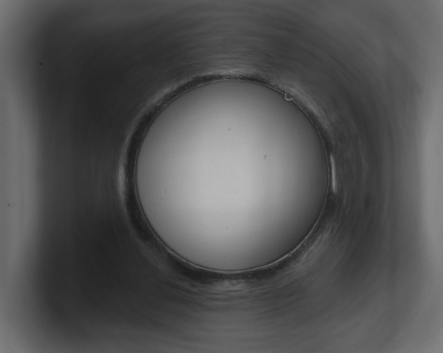 X0000101230252200806270951