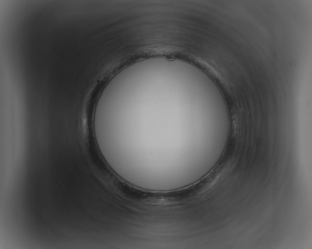 X0000101230254200806270951