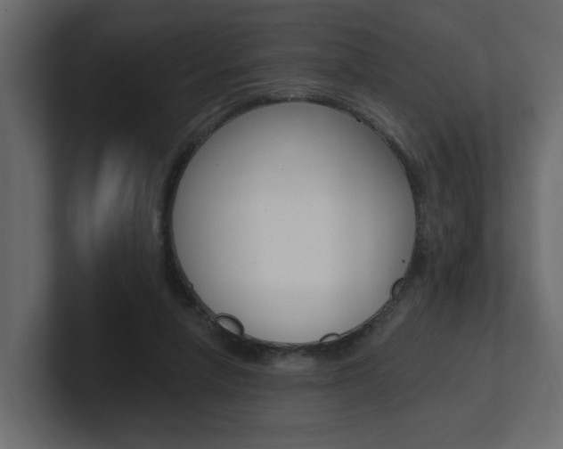 X0000101230258200806270951